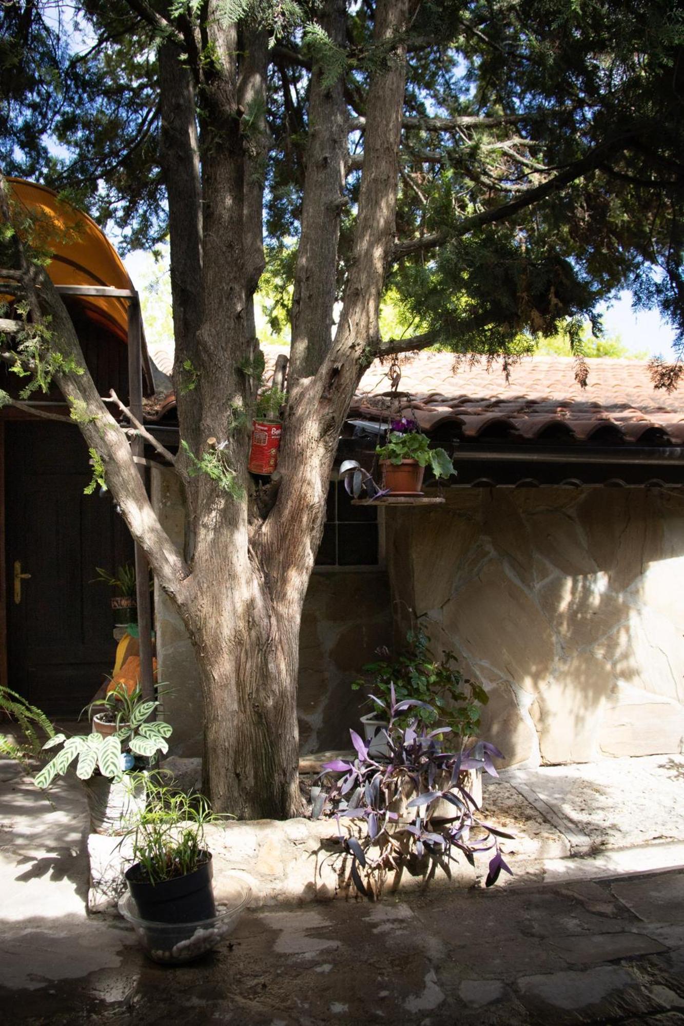 Старата Баkалия The Old Grocery, Guest Rooms Balchik Exterior foto